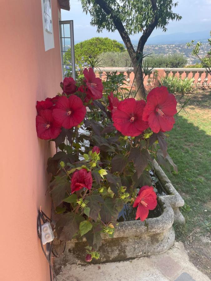 Chambre D'Hotes A L'Ancre Marine De La Villa Rose Nice Dış mekan fotoğraf